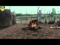 RAMARAJAN HITS MP4 1