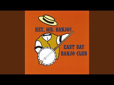 Hey, Mr. Banjo