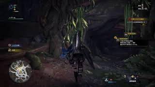 ランスで行くMHW