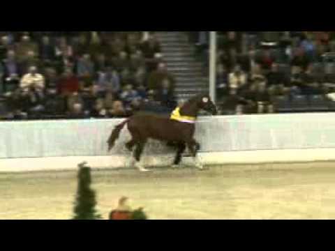 Quasar de Charry 2011