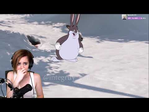 The Last Chungus 2