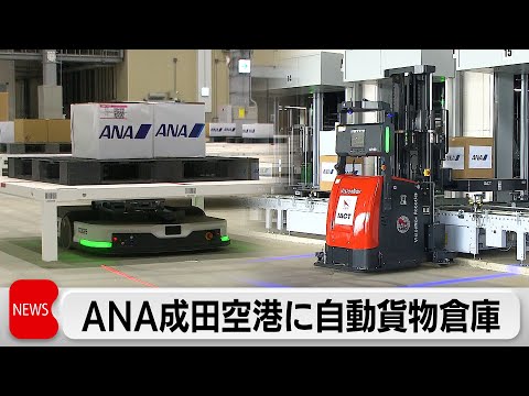 アナトール・ド・ボードーについて詳しく解説