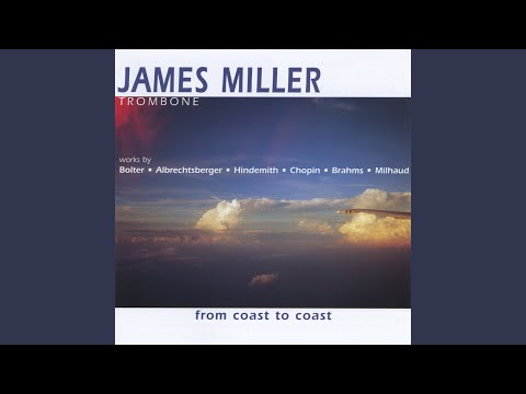 Concerto d'hiver: I. Anime