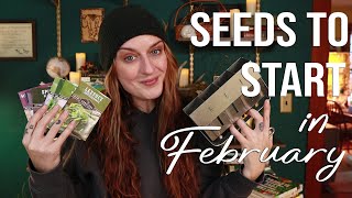 Early Season Sowing 2 Ways! | Winter Sowing in Zone 6