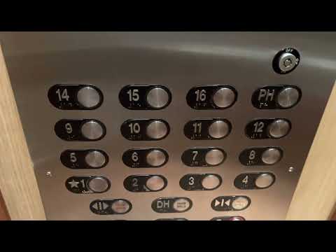 (TBM???) Otis/ThyssenKrupp Traction Elevators @ a wild Gabe building, Lauderdale-by-the-Sea, FL