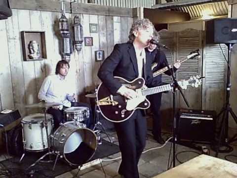 Spinvis - Wespen op de appeltaart