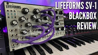 Video thumbnail for Pittsburgh Modular Lifeforms SV-1 Blackbox Review - is it worth it? by Thesis Of Syn