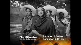 Promo película Flor Silvestre