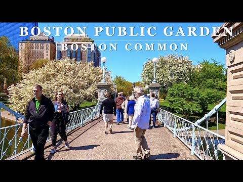 [4K] BOSTON - Jardim Público 🌸 Primavera: passeio panorâmico pela cidade em 4K com Binaural 🎧