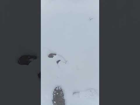 nevada en Villa de Praga San Luis