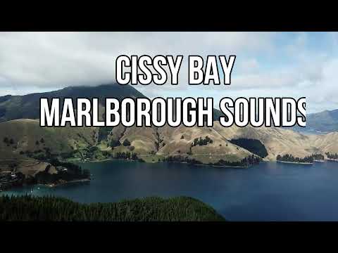 Cissy Bay - Marlborough Sounds - South Island - New Zealand
