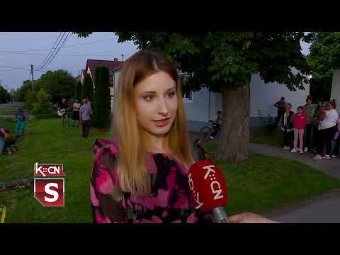 Rušenje Majskog drveta u  Binguli