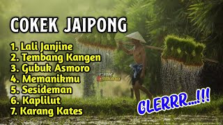 Download Lagu Gratis