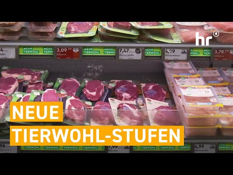 FLEISCH-UPDATE bei Aldi - Neue Sortierung sorgt für Diskussion | mex