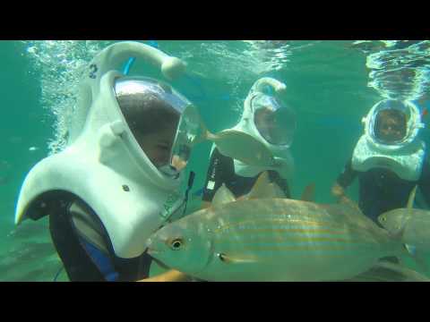 SEA TREK helmet diving in Lanzarote