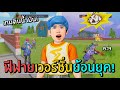 ฟีฟายดินน้ำมัน