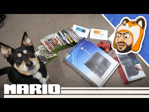 Thrifty Gaming Pickups: PS4 & Switch Console Pickups, $2 Game Blowout! - Episode 37