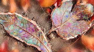 Turning Leaves into Beautiful Resin Bowls: Resin Art Tutorial