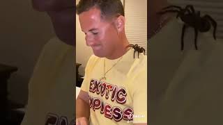 Download lagu First time holding my pet tarantula went like🕷😨 @stackz954  #spider #scary mp3