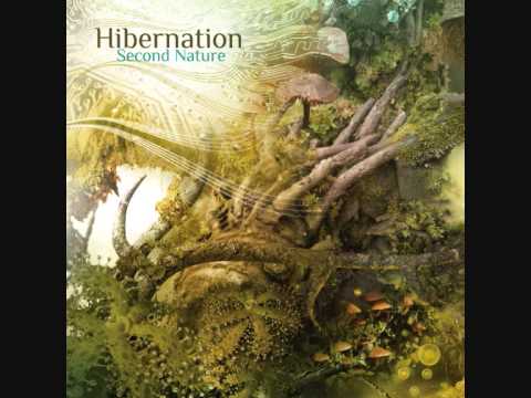 Hibernation - Dreamstep