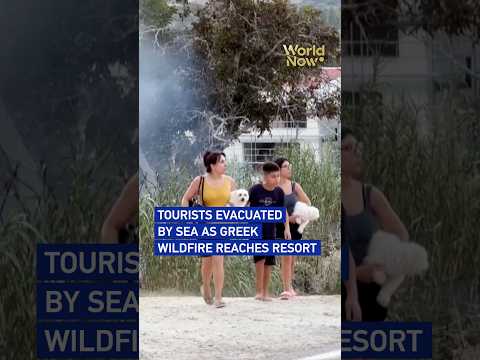 Tourists evacuated by sea as Greek wildfire reaches resort #worldnow