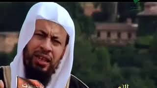 محمد موسى الشريف | شخصيات اندلسية | ابو بكر السليم image