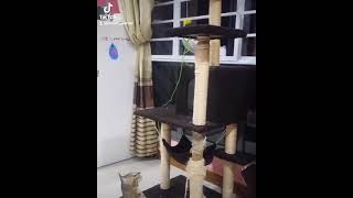 Download lagu 24 February 2021 mp3