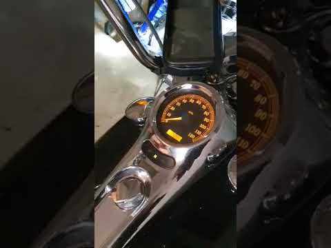Harley-Davidson Softail 1450cc, choppers / cruisers / custom
