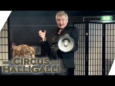 Endure, Don't Laugh (Tag Team Edition) - Part 3 | Circus HalliGalli | ProSieben