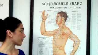 preview picture of video 'Intro to Acupuncture by a Glen Ellyn Acupuncturist'