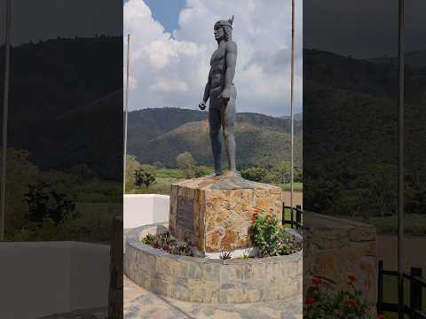 Tomate Magnate en Carache: ¡Adaptación total! 🍅⛰️