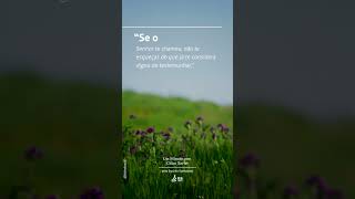 Cap. 39 | Um Minuto com Chico Xavier