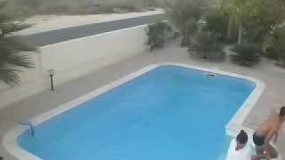 Cheeky intruders when we left our villa pool unattended