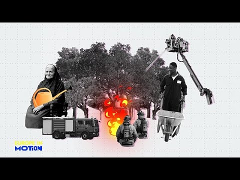 Video Thumbnail: Portugals Waldboom hat einen brandgefährlichen Preis
