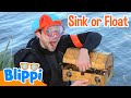 The Question Is Does It Sink Or Float 🛟 Blippi Full Episodes Sensory Playtime