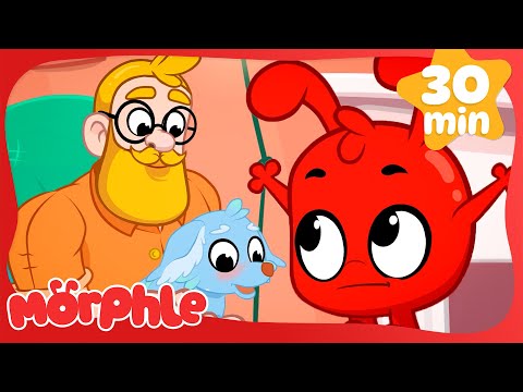 Magic Pets get the Flu! 🤒| Fun Animal Cartoons