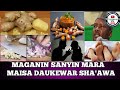 Maganin Cutar Sanyin Mara Dake Kawo Daukewar Sha Awa Maza Da Mata By Dr Abdulwahab Gwani Bauchi