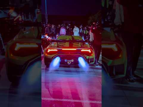 Lamborghini SVG & Corgi 😱😱 #svg #corgi #fire