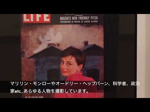 ヒラサルダについて詳しく解説