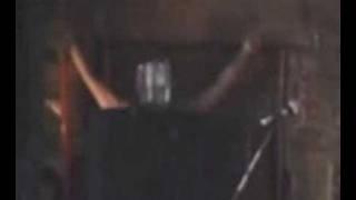 screeching weasel - i can see clearly