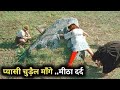 Sukkubus Film Explained in Hindi/Urdu Summarized हिन्दी / tech scenes