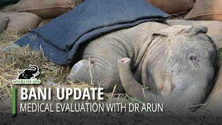ADOPT BANI - Medical Update With Dr Arun