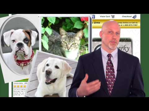 download lagu mp3 mp4 4everinmyheart, download lagu 4everinmyheart gratis, unduh video klip 4everinmyheart