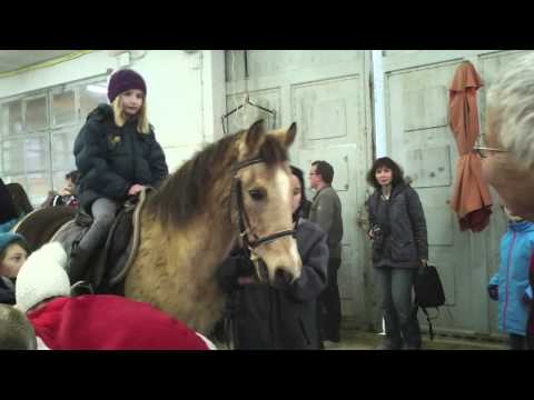 Adventsfeier 2013 der Araber-Reitschule