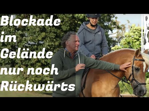 Mein Pferd blockiert im Gelände und geht rückwärts. Was kann ich tun?  Horsemanship