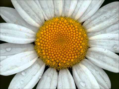 Ralf Hildenbeutel - Nachtzeit