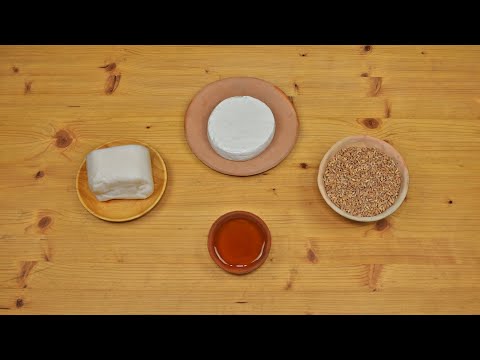 Encytum – Ancient Roman Fritters