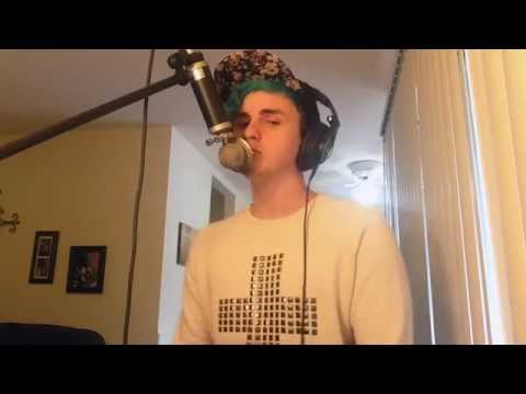 ハッピーリトルピル/TFIOS by Troye Sivan (カバー) (Happy Little Pill/TFIOS by Troye Sivan (Cover))