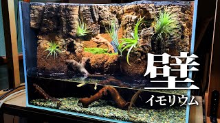 壁イモリウム - 完成