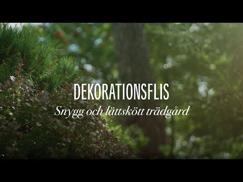 Skapa en vacker och lättskött trädgård med hjälp av dekorationsflis